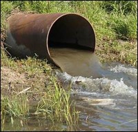 Инфекции в водоемах